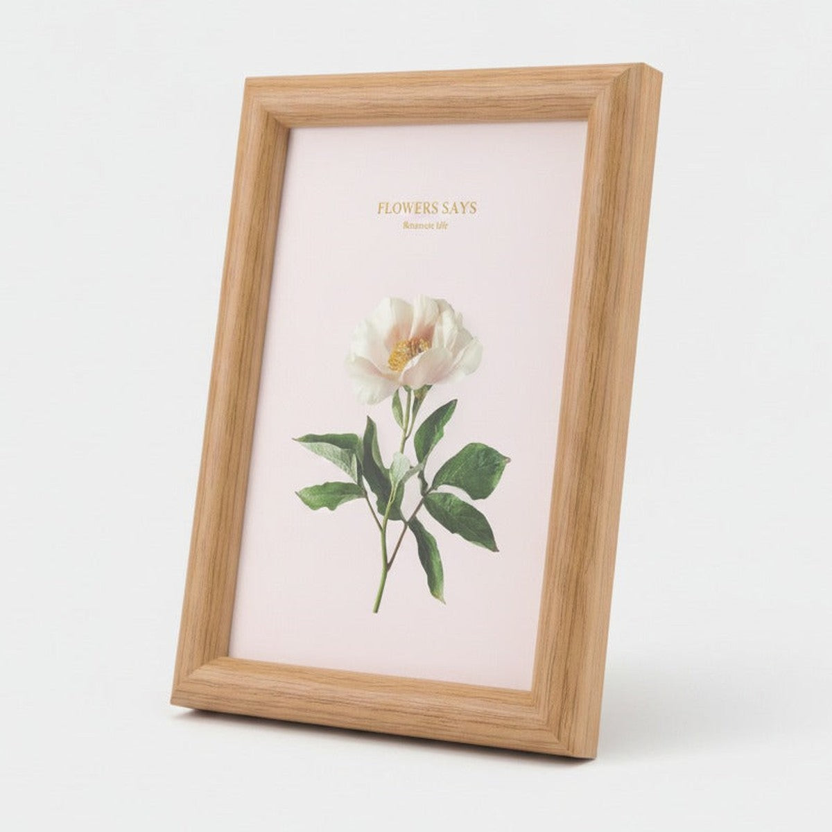 European Vintage Picture Frame - Type 1