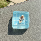 Mini Pool Party Squishy - Square Pool