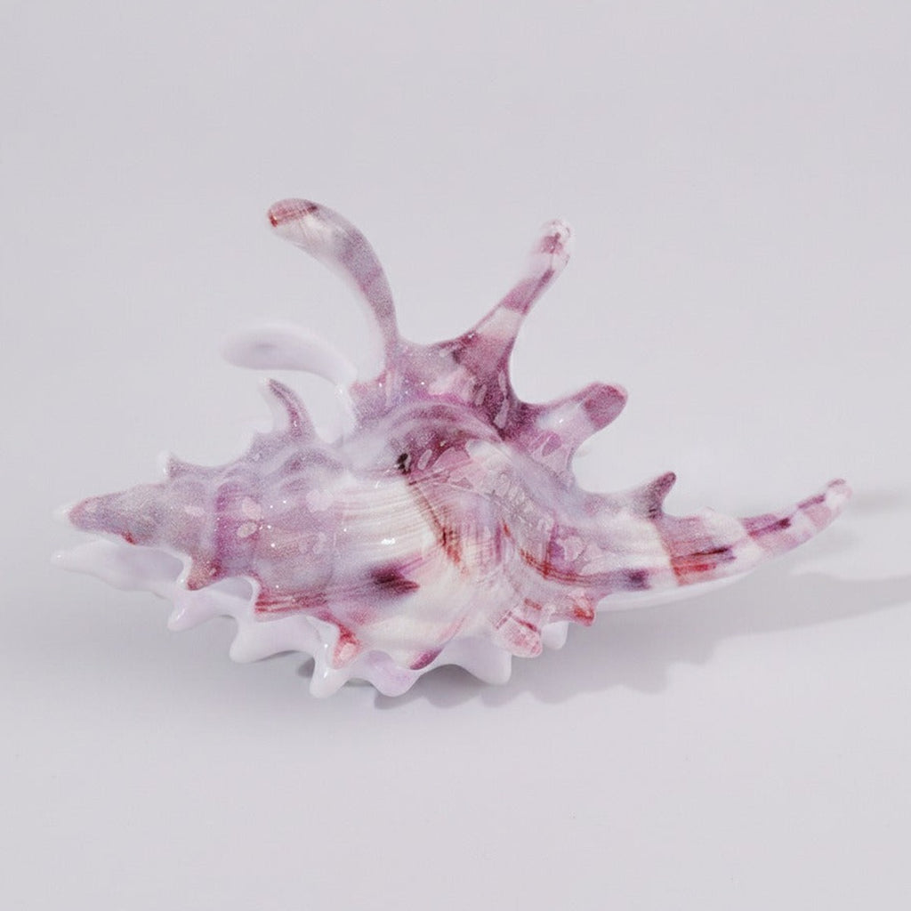 Cosmic Shell Hair Claw - Starlight