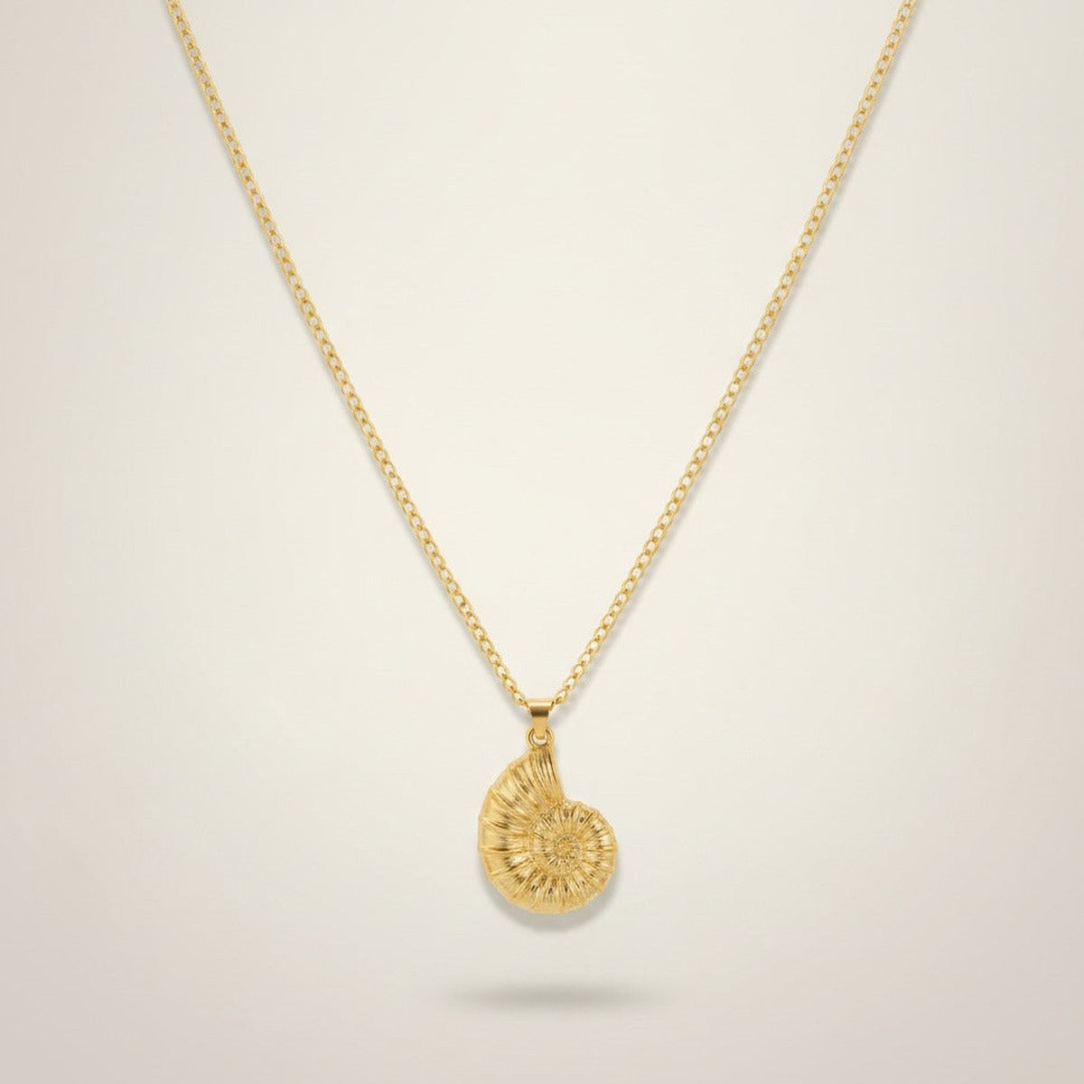 Elegant Nautilus Shell Pendant Necklace – jewelry (view 1)