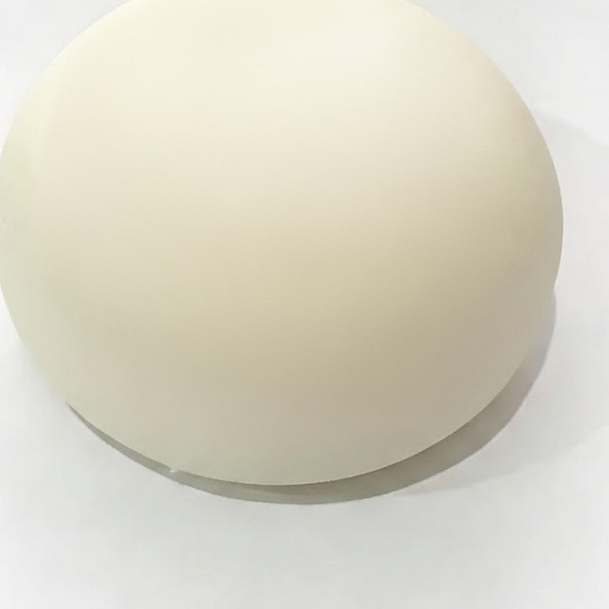 Squishy Milk Bun - Milk White