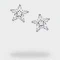 Star Rhinestone Crystal Stud Earrings – jewelry (view 1)