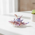Cosmic Shell Hair Claw - Galactic