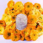 (X) Calendula Peptide Ageless Sleeping Mask 30g - image 3