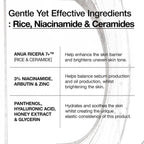 RICE 7 CERAMIDE HYDRATING BARRIER SERUM 50ml - image 6