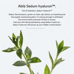 SEDUM HYALURON PAD HYDRATING TOUCH 165ml / 75pads - image 2