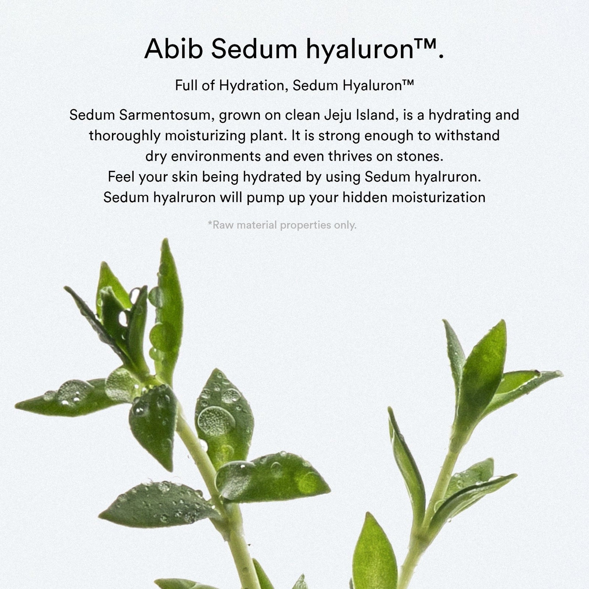 SEDUM HYALURON PAD HYDRATING TOUCH 165ml / 75pads - image 2