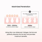 Collagen Ampoule 50ml - image 7