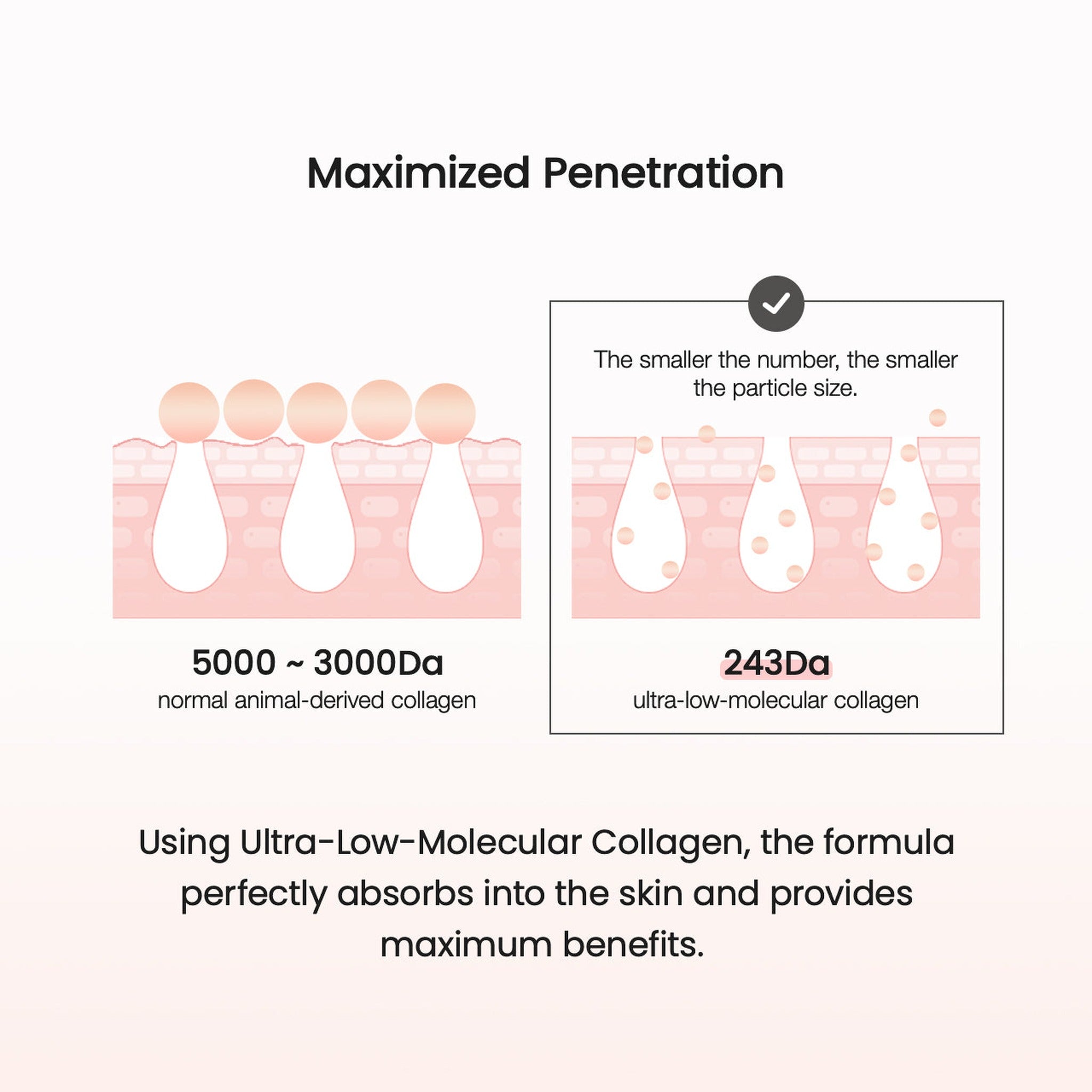 Collagen Ampoule 50ml - image 7