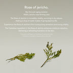 Jericho rose collagen pad firming touch 60pcs - image 5