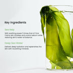 Refreshing Sea Kelp Real Deep Mask 1Box (34g*4ea) - image 5