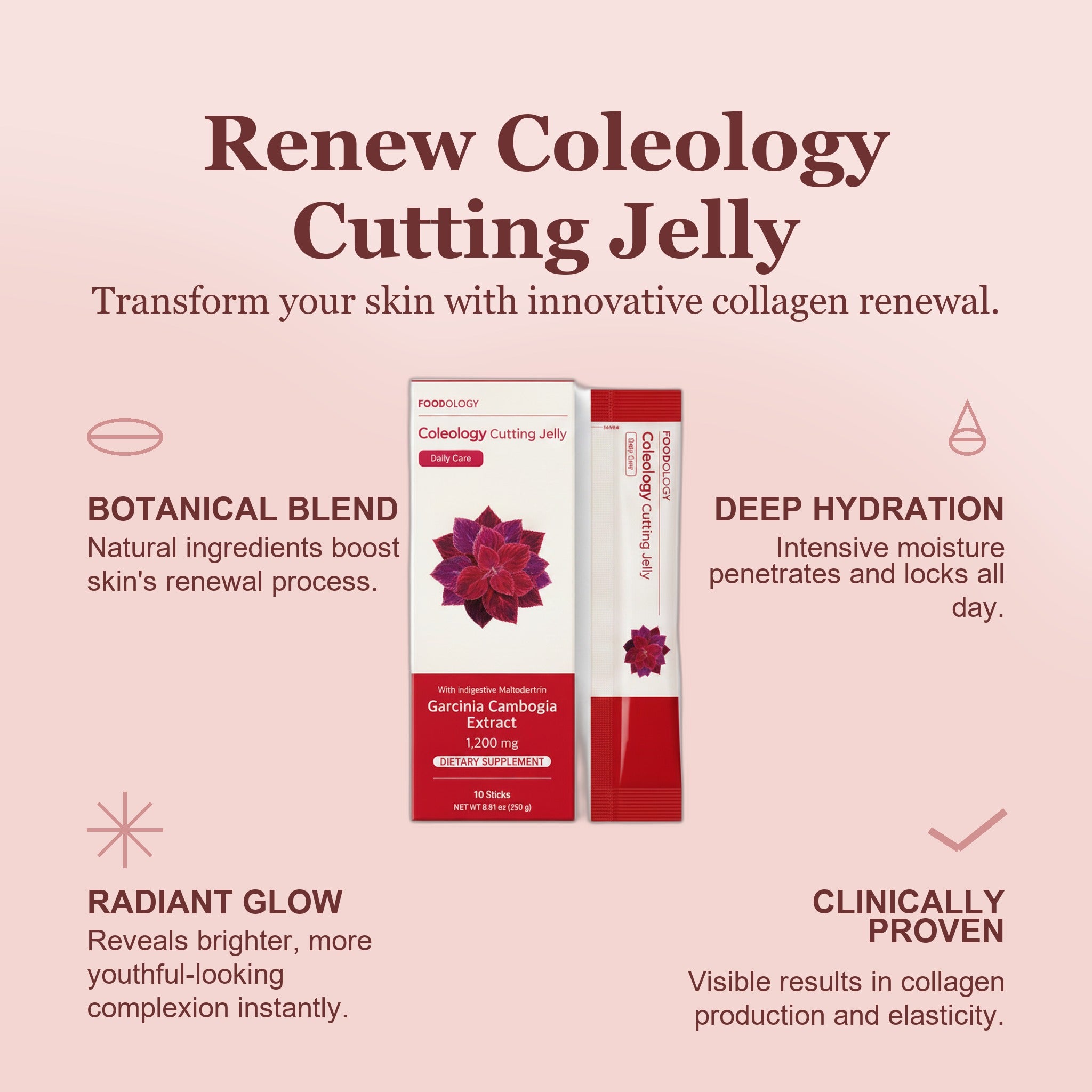 renew-coleology-cutting-jelly-10-pouch-folht01-hjrrr - infographic