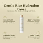 rice-toner-150ml-ifroms07-t - infographic