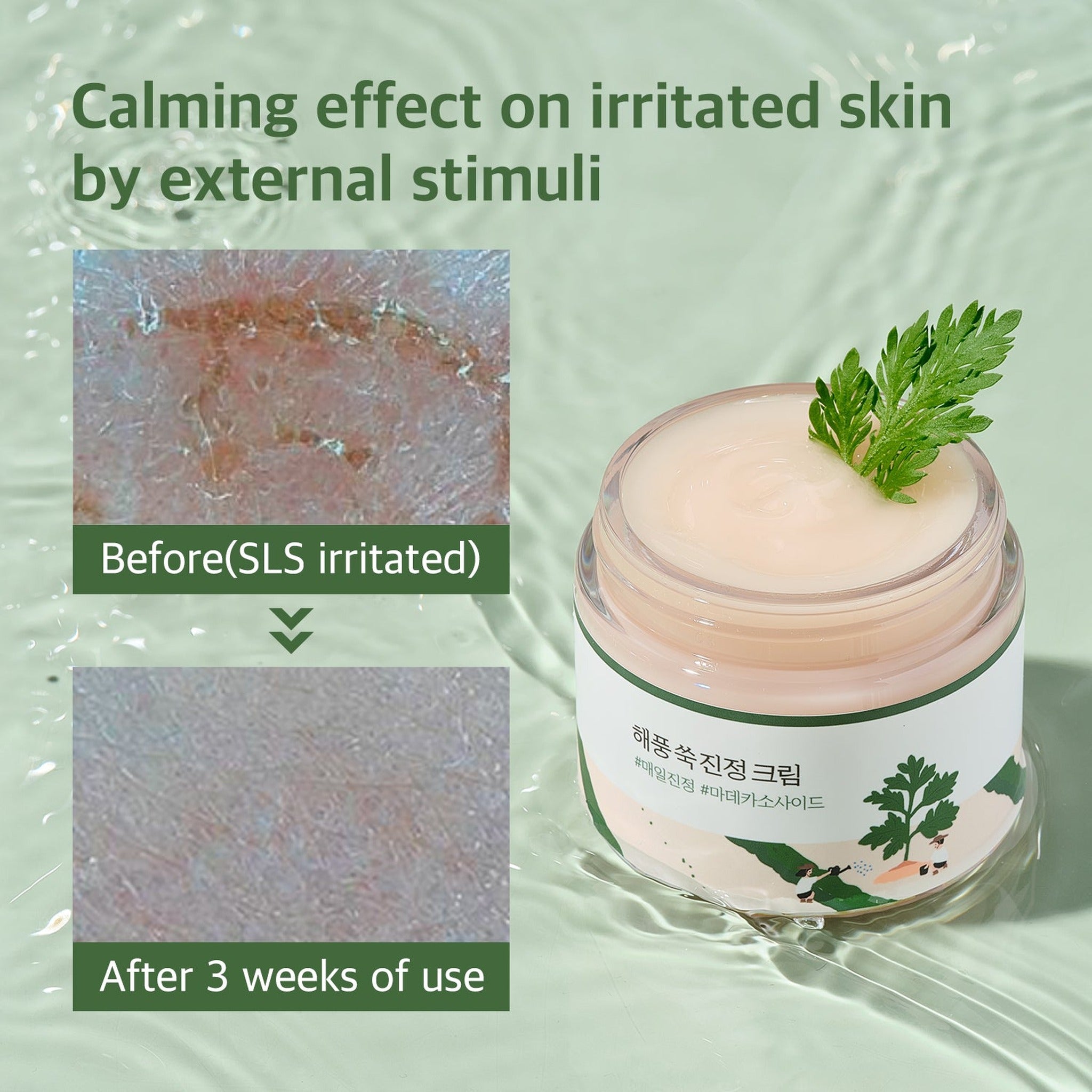 (Renewal) Mugwort Calming Cream 80ml - image 3