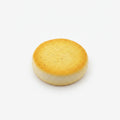 Oversized Toast Squishy - Yellow