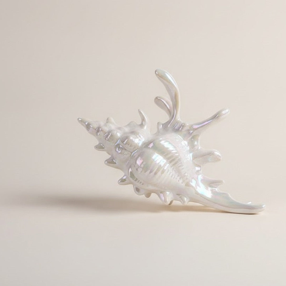Novelty Decorative Seashell Figurine – novelty & toys (view 1)