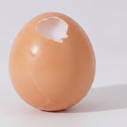 Cracked Egg Squishy Toy - Natural
