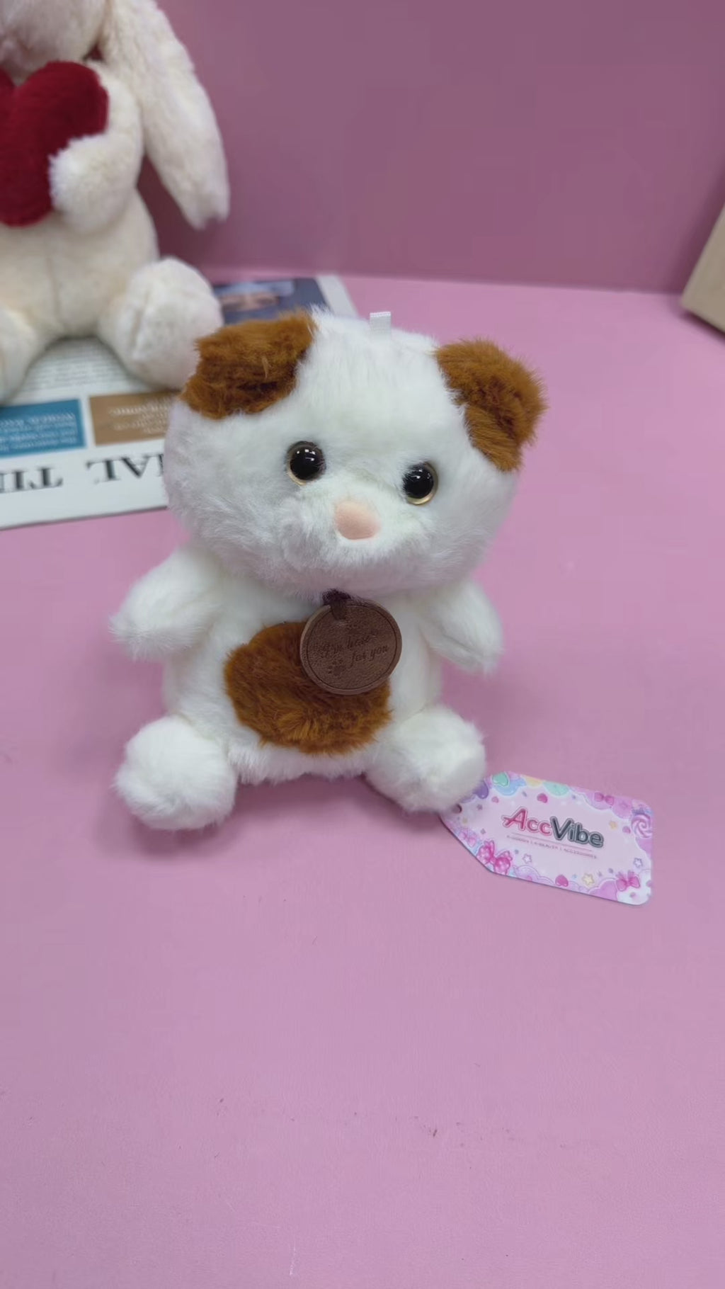 CTKWS0004-Cat-6.3INCH【0.15KG】