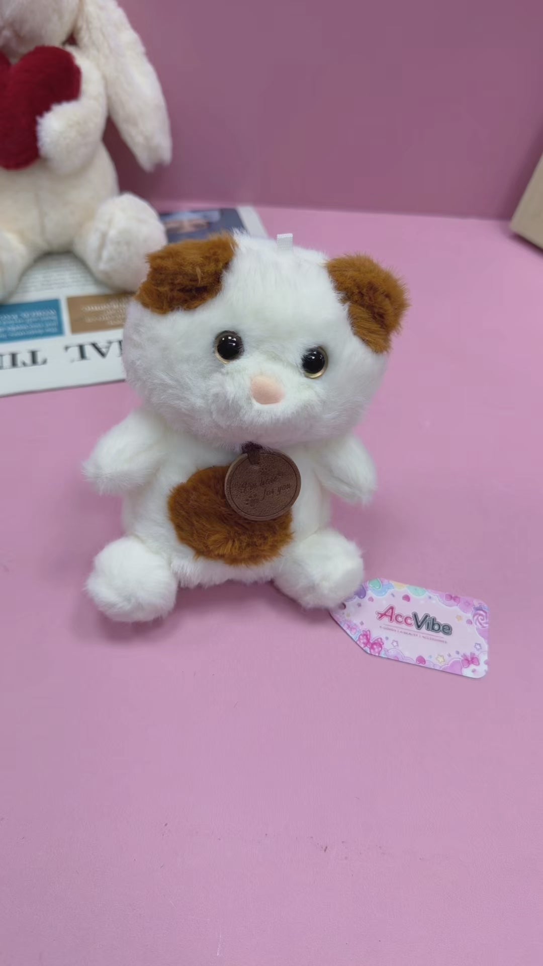 CTKWS0004-Cat-6.3INCH【0.15KG】