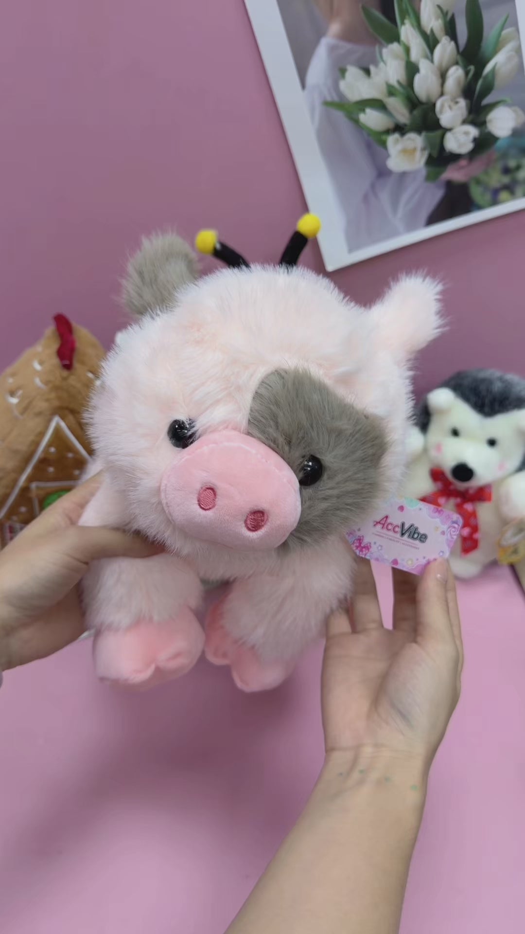 CTKWS0025-Pink-9.84INCH【0.22KG】