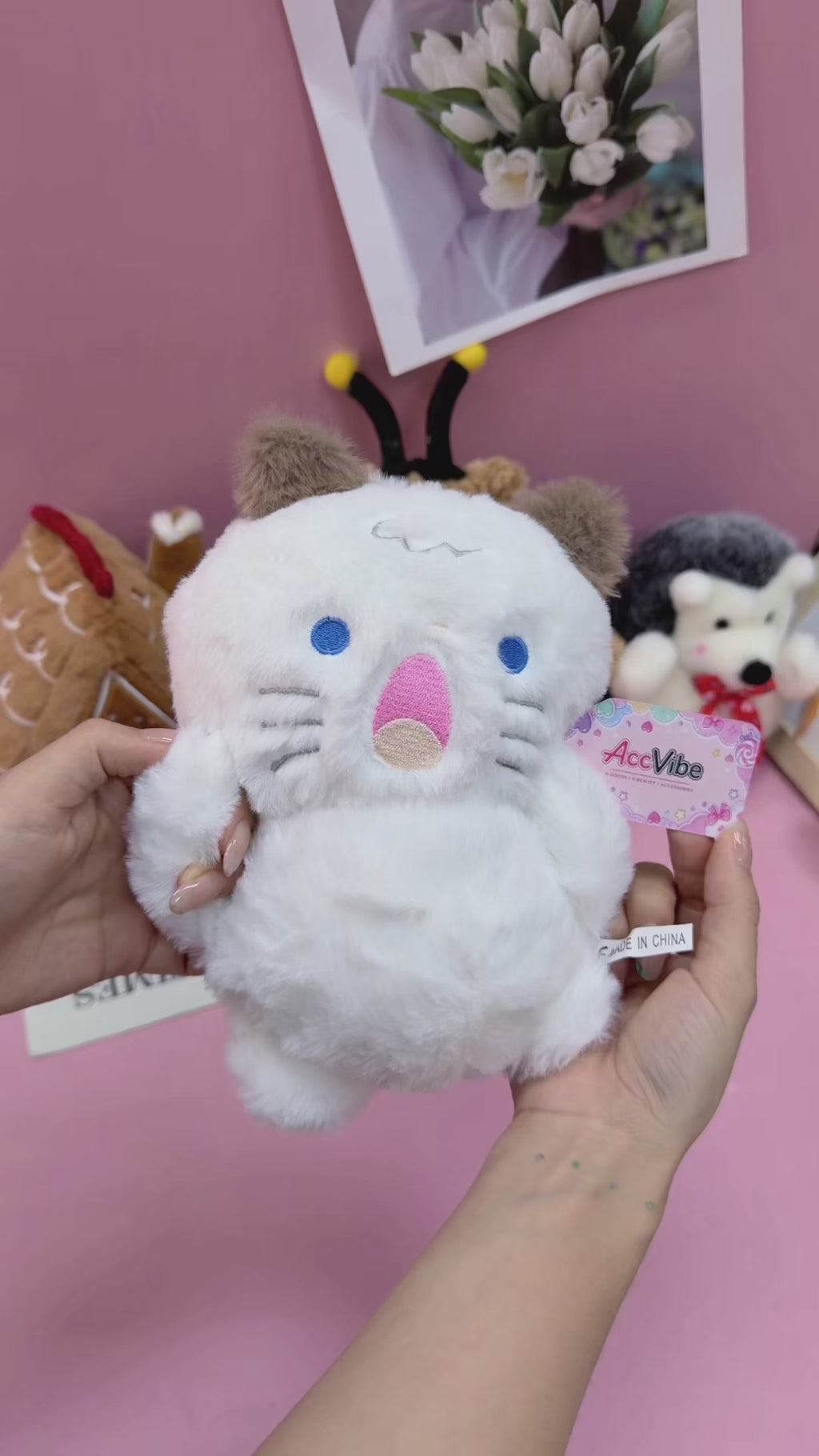 CTKWS0013-Cat-9.84INCH